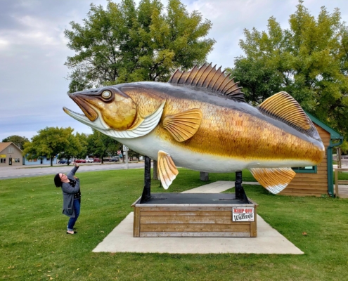 Walleye